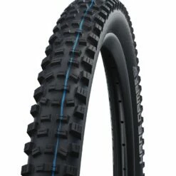 Schwalbe Hans Dampf Evo HS 491 Supertrail Addix Speedgrip